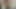 Güzel tgirl rafes büyük horoz bir unutulmaz oral seks verir