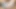Güzel büyük yarak transeksüel boşalıyor ateşli seks videosu seksi xnxx videoları xhamster videosu