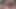 Boyfriend'in verdiği sözler tam bir saçmalıktı... Bu kalın zenci öğrenci onları gerçek anlaşmayla takas etti