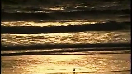 Bursting Tits And Hot Clits-Brittany O'Neil