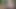 PORN Treasure Hunt! Beni bulan beni sikecek! İki gerçek takipçi ipuçları takip etti ve beni buldu