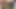 Güzel kızlarla seksi ateşli ırklararası dörtlü seks
