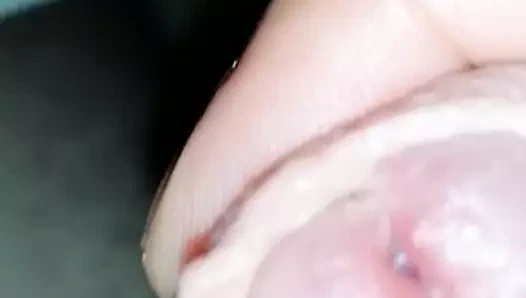 7 gün peynirli horoz