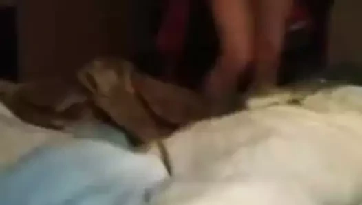 Üniversiteli kız memeler göt amcığı