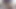 Kalın Asyalı göt