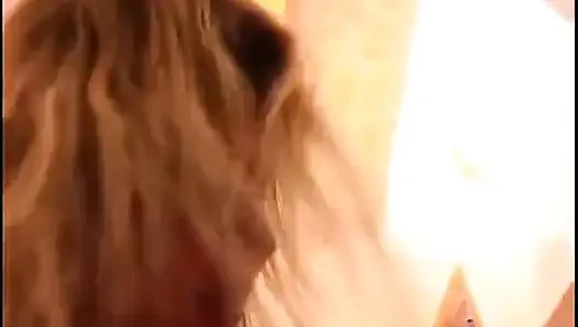 Ateşli çift aygır arkadaşıyla birbirini sikiyor