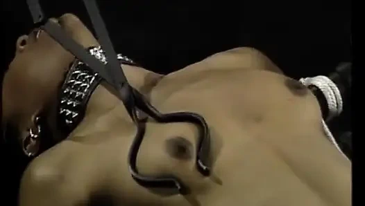 Siyah Alman bayanla bu fetiş esaret seansı izle