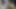 Sürtük kedicik nutaku oynuyor ve yumrukla ateşli amcık