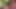 Orta yaşlı seksi kadınlar eğlenceli sahne-4 öğrenci gibi giyinmiş büyük memeli esmerlerin üçlü seksi sokakta bir arkadaşını sikiyor