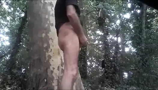 pipe.uro et jus en exhibe au bois