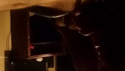 Redbone nuchi kötü