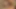seksi Asya kız seviyor büyük siyah horoz