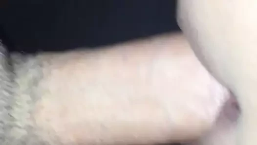 karısı alır horoz