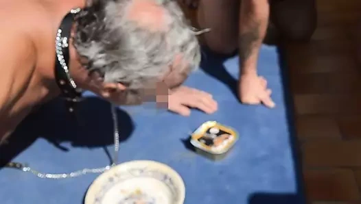 la truie mange comme un chien