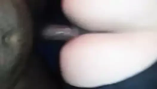 Köpek stili transparan tozluk