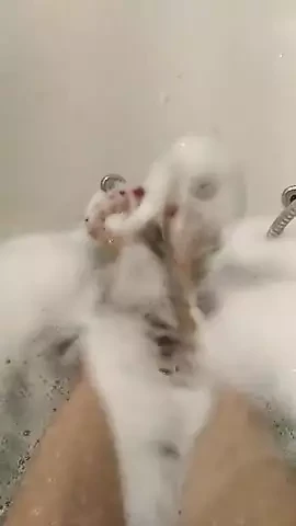 Feeteve videosu