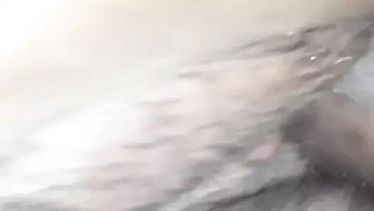 Köpek kahrolası kıllı am