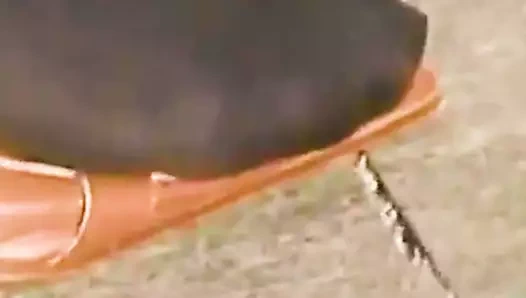 Naylon çoraplı kız yüksek ayakkabılarına benziyor ve ayak parmaklarını sallıyor