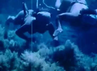 Japon ama dalgıç sualtı 1963