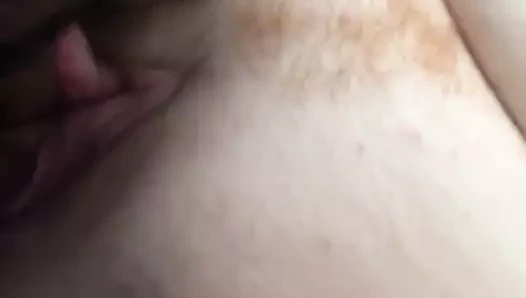 Zencefilli turtanın tadına bakmak