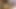 Kırmızı çoraplı seksi büyük götlü Nijeryalı genç sürtük yarak için can atıyor.