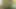 Kıvrımlı porno yıldızları güneşli şerit ve shai batı lezbiyen seks yapıyor!
