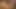 Seksi ve istekli esmer tory büyük bir yarağı emiyor ve sikiyor