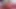 Kocaman Sikmiş Beyaz Popo Senin Zayifliğin, Bu Yüzden Seni Çiğnemek Için Dildo'mla Oynuyorum