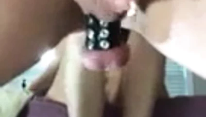 Beyaz topları yakalamak eğlencelidir