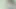 Cute Asian boy masturbates, moans, cums and eats cum beside the green plant wall in abandoned factory