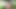 Sıska genç alexa nova ile küçük memeler darbeler bir büyük horoz