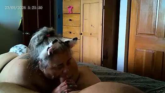 Kitty Meow Meow