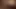 Kamera ve horoz ile donanmış, kari porno yıldızı oynuyor