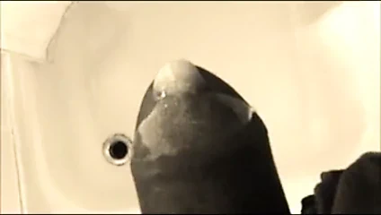 stepmoms used pantyhose von NICHT Schwiegermuttern getragen