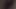 lanet the hanımları kıllı KEDİ