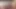 Ivy L -