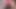 Dar elbiseli ve seksi külotlu çoraplı pawg büyük sert dildoya binmeyi seviyor
