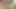 İki seksi latin ateşli lezbiyen seksin ve makaslamanın tadını çıkarıyor