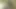 Sıska genç kız ilk porno seçmelerini yapıyor