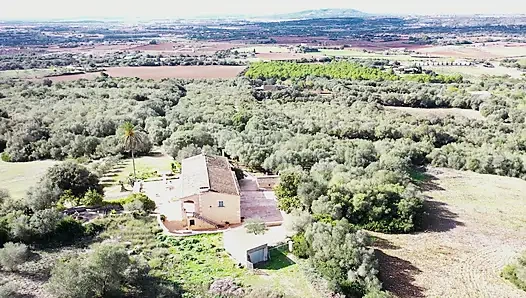 Azgın sürtükler Vacation_4k daha iyi sikişiyor