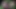 Pervmom - seksi kızıl üvey anne, gizli tutarsa ​​azgın üvey oğluna şehvetli boobjob vermeyi kabul eder