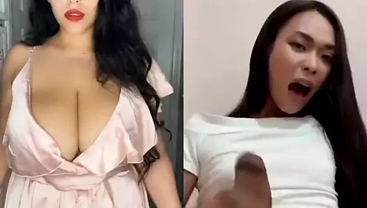 Babecock 3 (audrey littie ile)