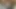 Korkak olduğunu her zaman aç için raw horoz