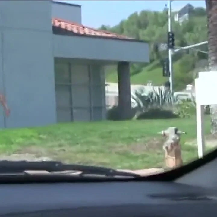 Грудастой блондинке натирает ее сочную киску и трахает везучий извращенец