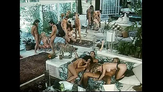 Kıllı amcıkların ve kıllı yarakların grup seks partisi