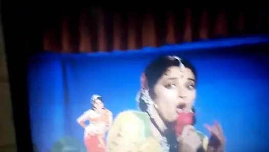 Madhuri dixit döl haraç