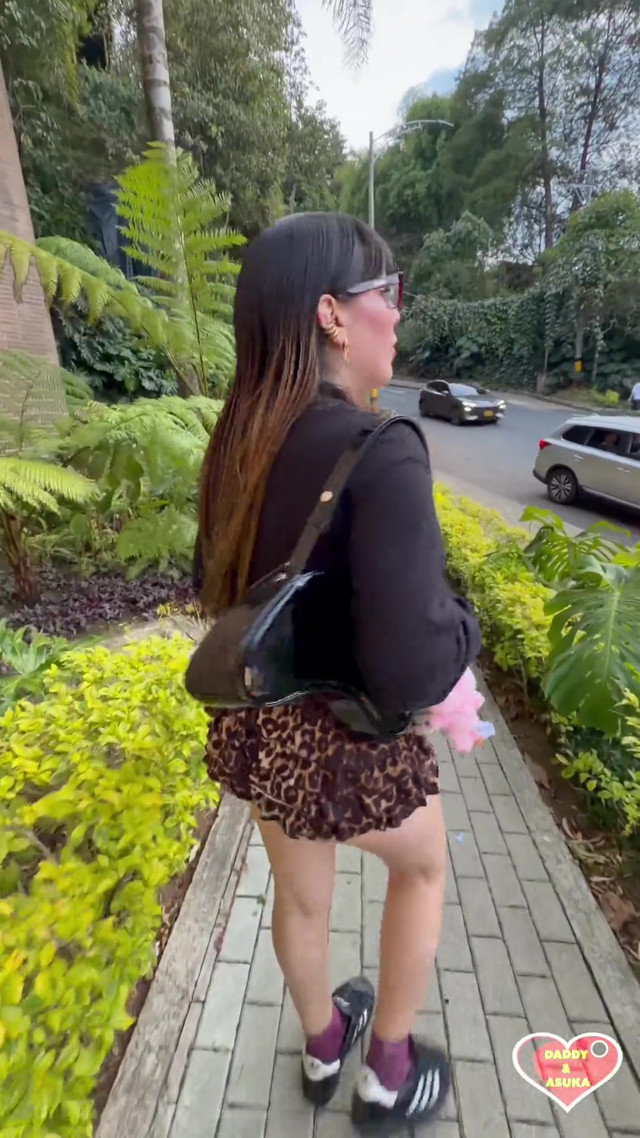Pink Kitty Likes to Go Shopping