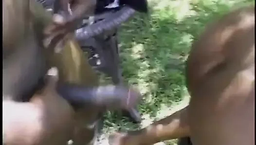 Çikolata tenli sürtük açık havada amını yediriyor