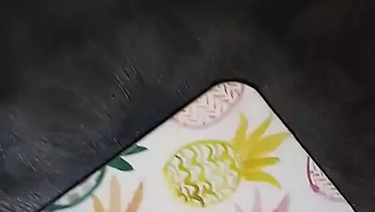 dünyanın en büyük bisikleti