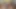 Üstsüz solo oral seks büyük siyah dildo